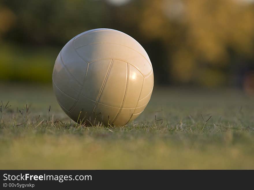 White volley ball on sports field. White volley ball on sports field.