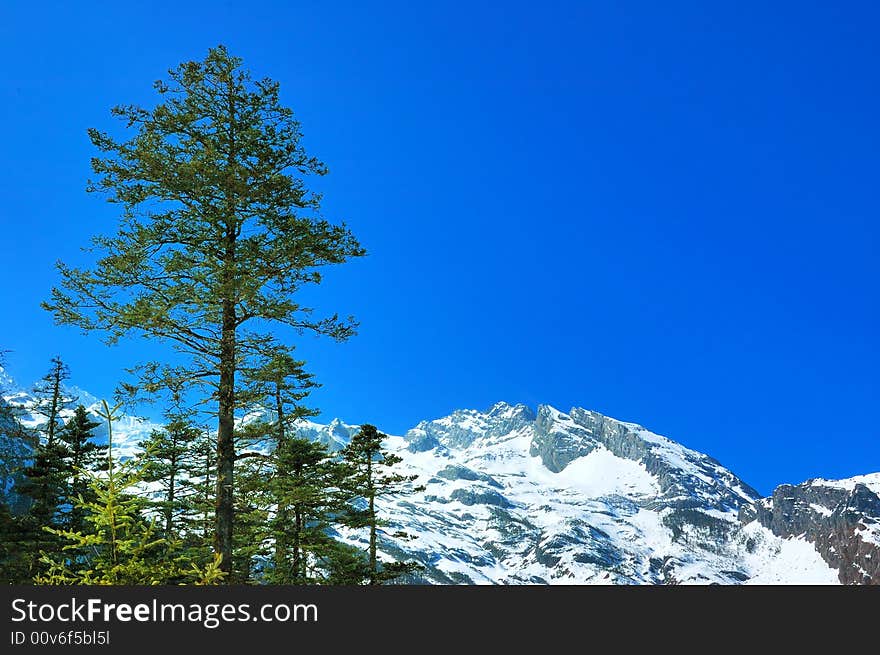 Located at Tibet, Sichuan, the Yunnan intersection point's local scenery is enchanting, is honored as Shangrila.