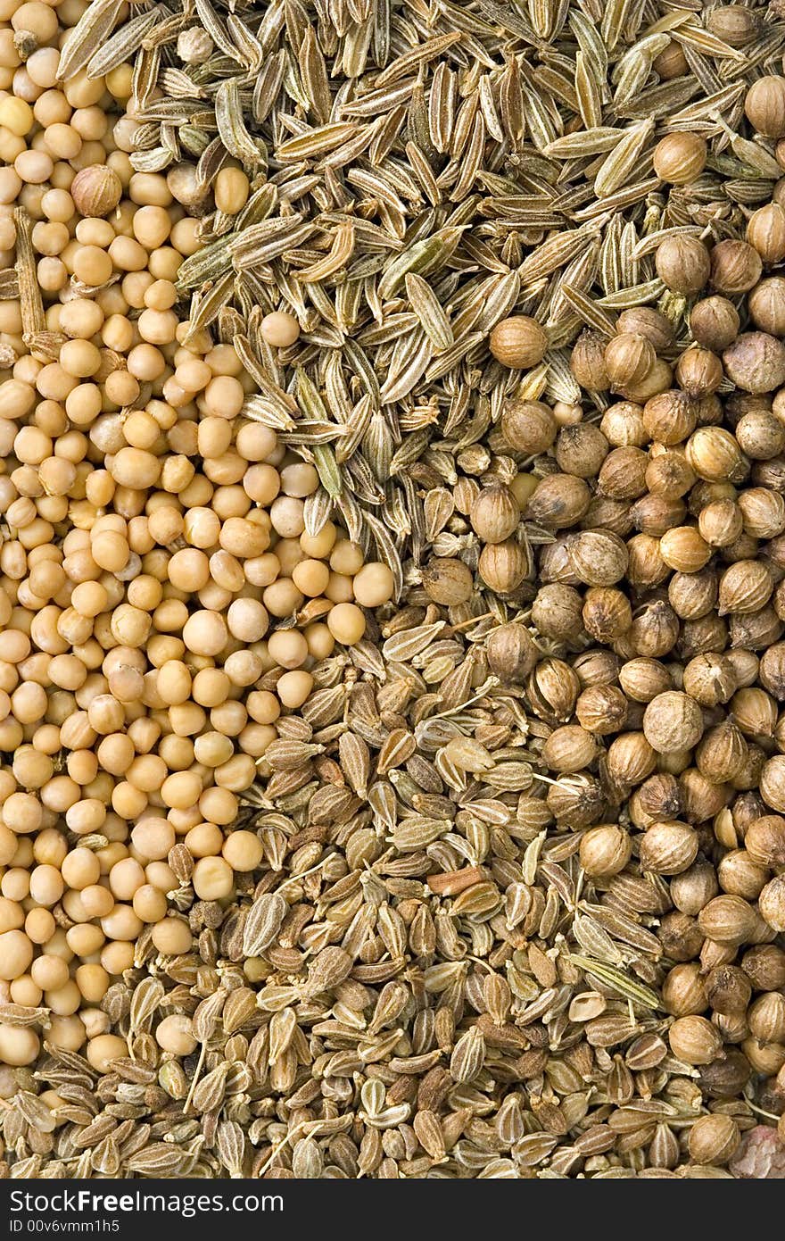 A background from spice (seed of anise, mustard, cumin, coriander)