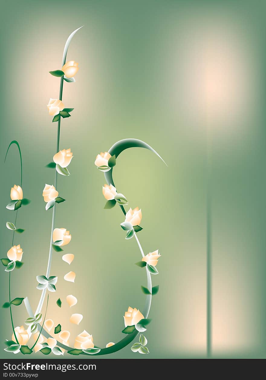 Peach roses and petals set against green backdrop