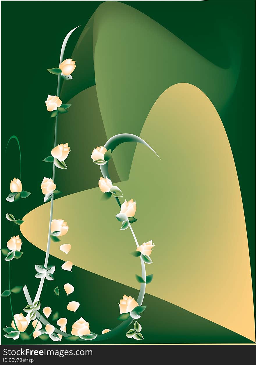 Peach roses and petals set against green heart backdrop. Peach roses and petals set against green heart backdrop