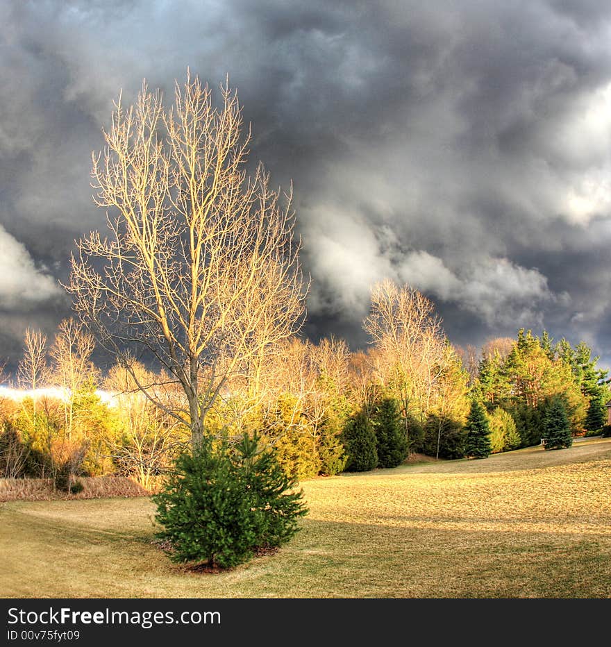 Front yard in a residential community graced by storm couds. Front yard in a residential community graced by storm couds.