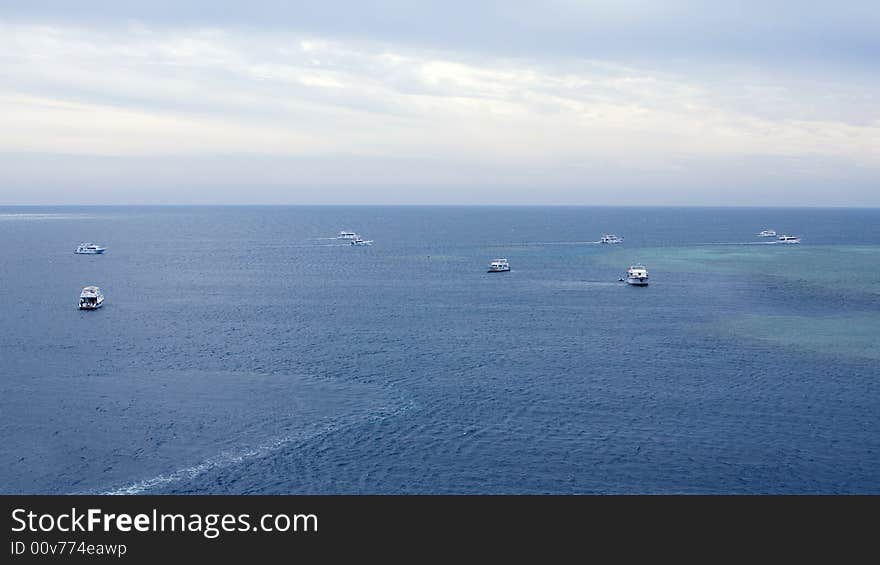 Many white yachts float in the sea