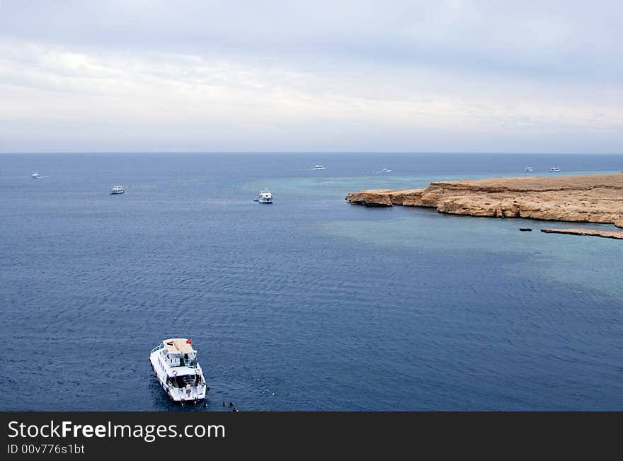 Many white yachts float in the sea