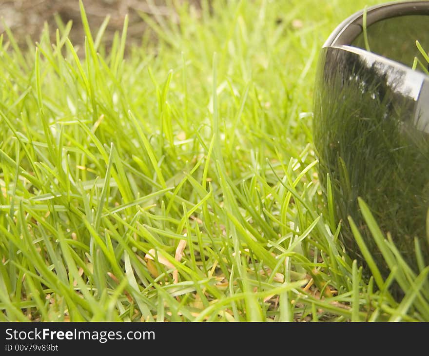 Glasses Are On A Grass