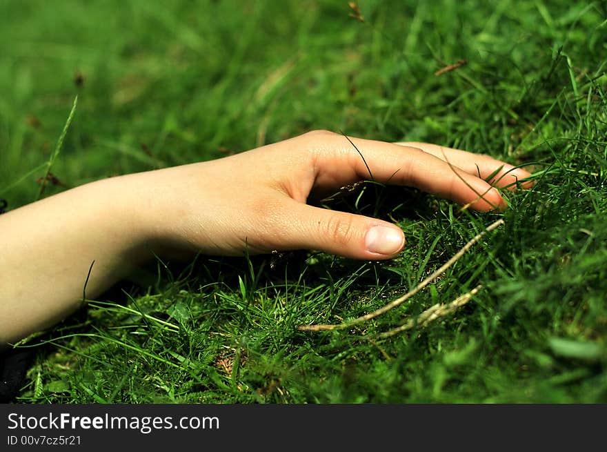 Relaxed hand on bed of grass