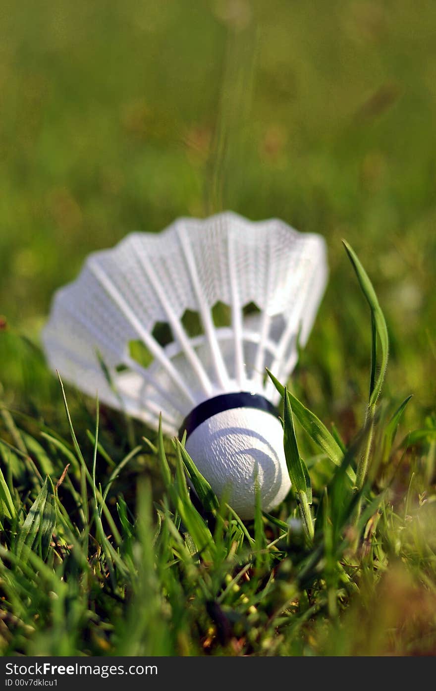 Badminton shuttlecock in the grass