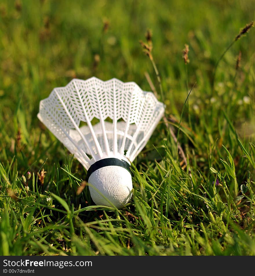 Badminton shuttlecock in the grass