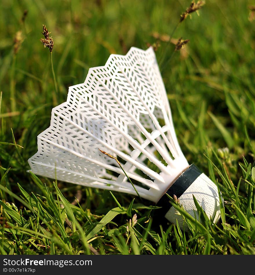 Badminton shuttlecock in the grass