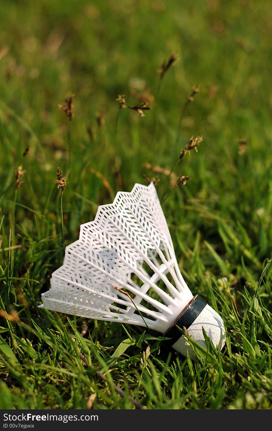 Badminton shuttlecock in the grass