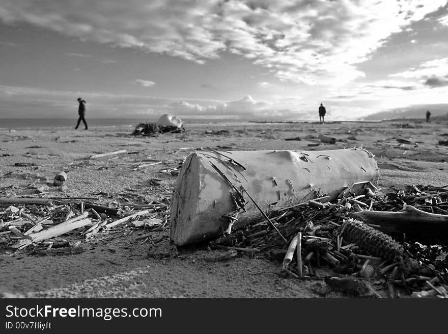 Beach in winter with wood an isolated people. Beach in winter with wood an isolated people