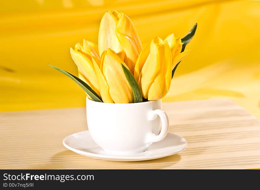 Yellow tulip in the bowl over yellow background