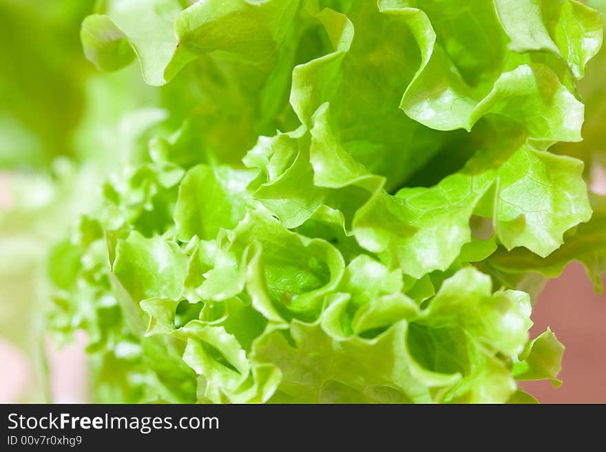 List of green salad close-up