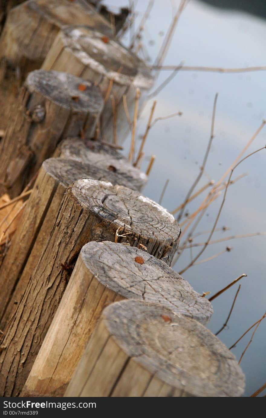 Wood in a park in Beijing.