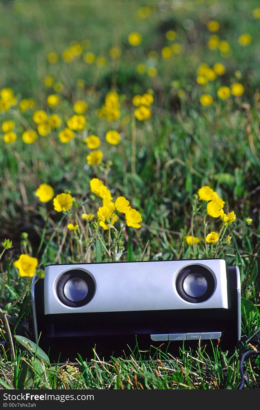 Portable sound box with two speakers in flowers