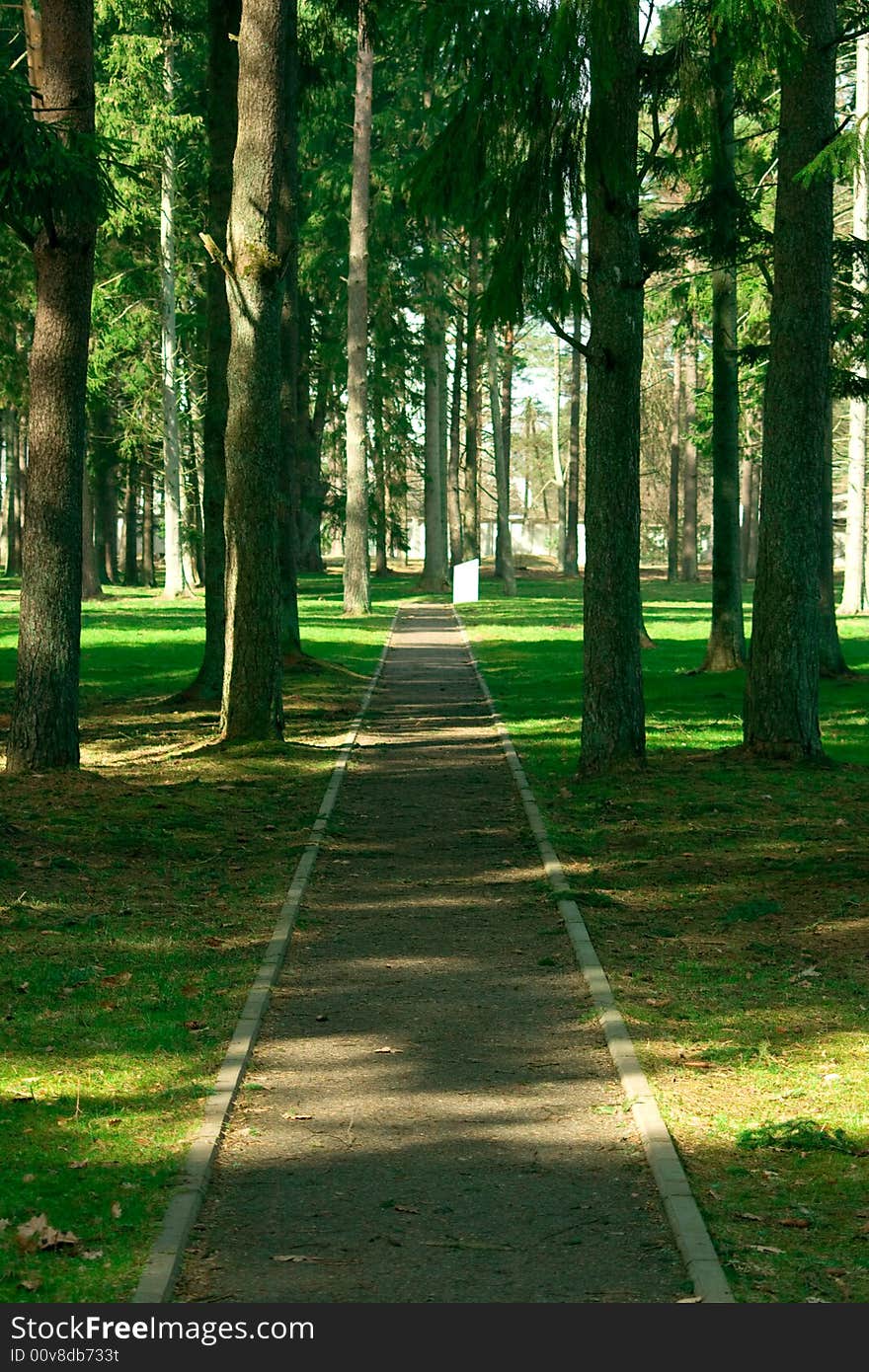 Straight road in the park. Straight road in the park