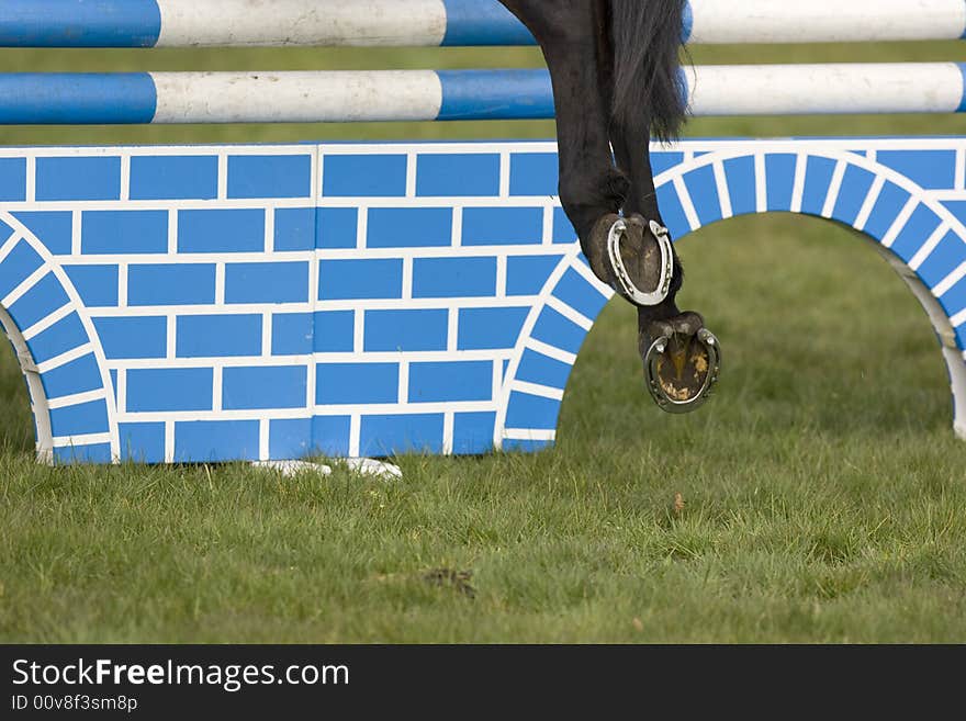 Horse in a show jumping event. Horse in a show jumping event