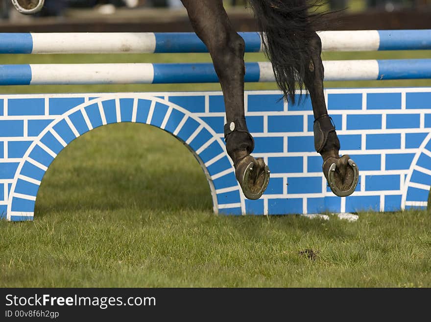 Horse in a show jumping event. Horse in a show jumping event