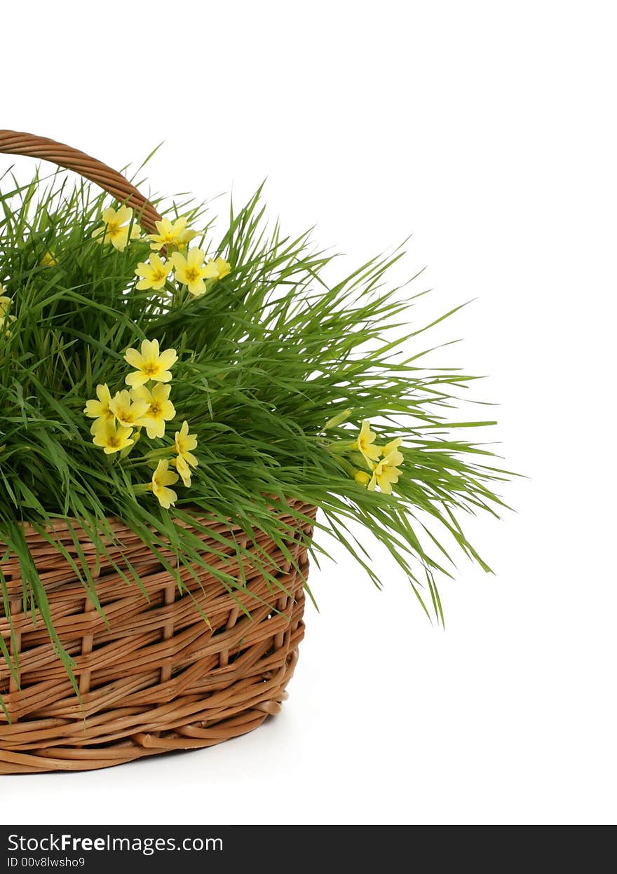 Yellow flowers in basket with fresh grass