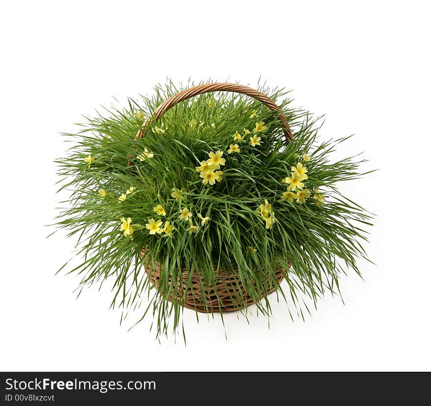 Yellow flowers in basket with fresh grass