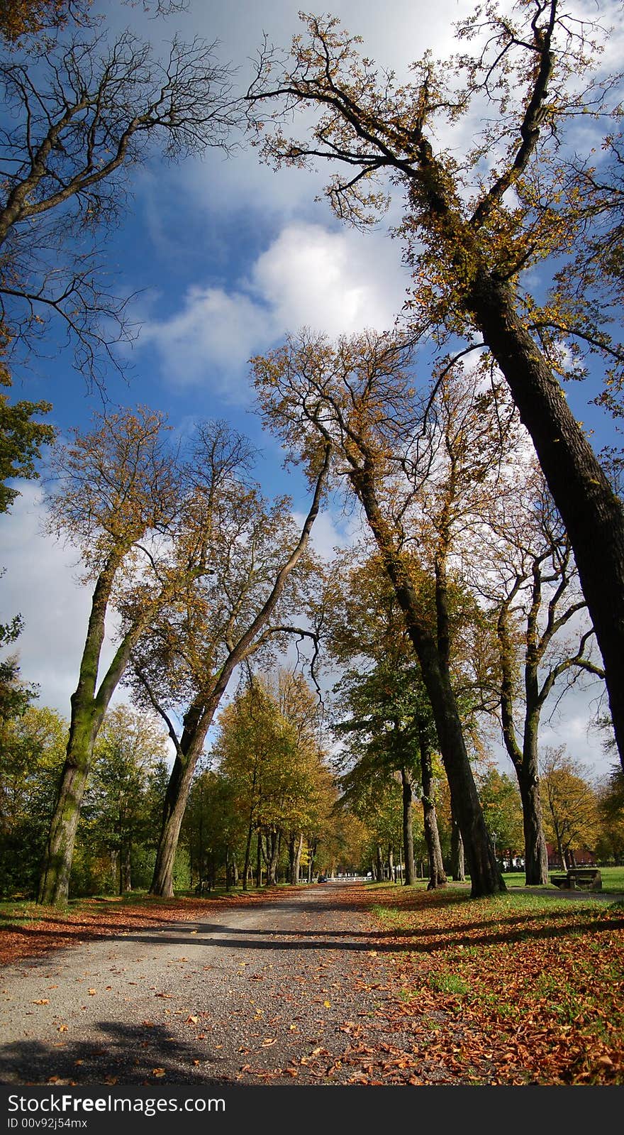 Park Panorama