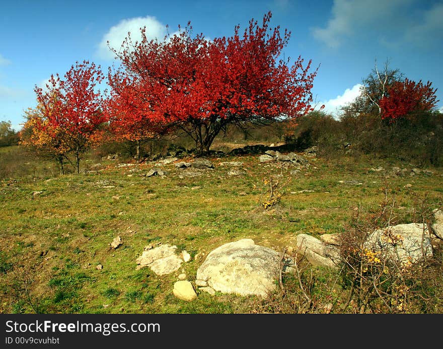 Autumn scenery in tree rote. Autumn scenery in tree rote