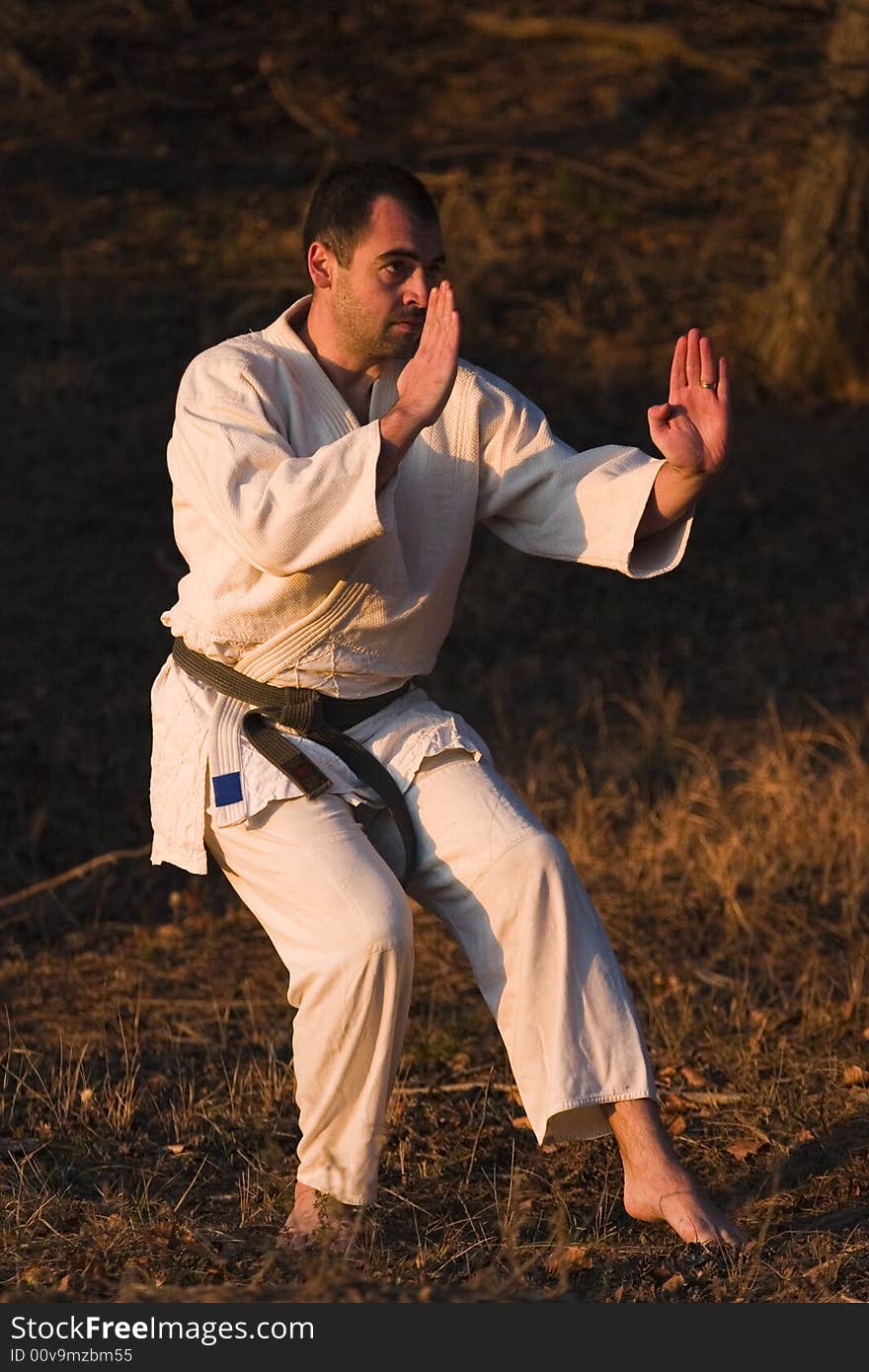 Martial arts training in nature at dawn. Man in karate suit, wearing black belt