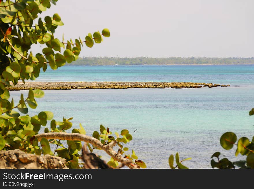 Tropical cuban beach