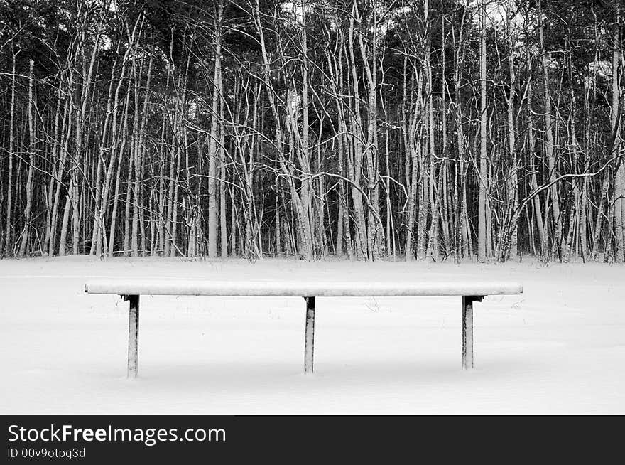 Lonely bench in winter