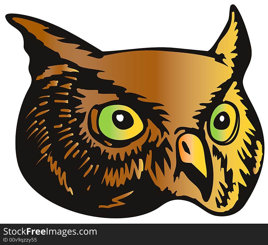 Great horned owl head