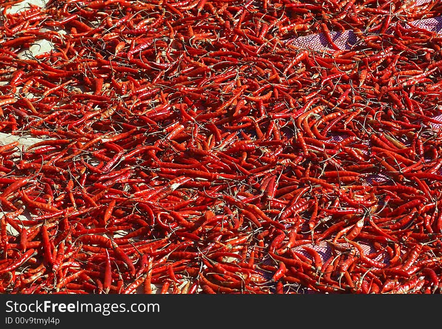 Myanmar, Kalaw: Red Pepper