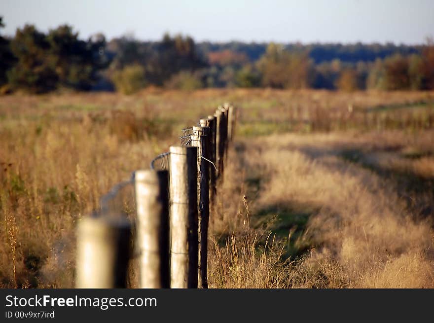 This picture of the fence gives the impression that it goes on for miles. This picture of the fence gives the impression that it goes on for miles