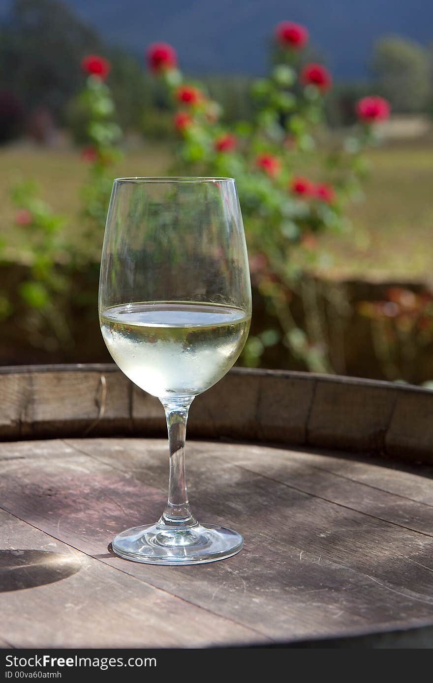 A glass of white wine on a wine barrel. A glass of white wine on a wine barrel.