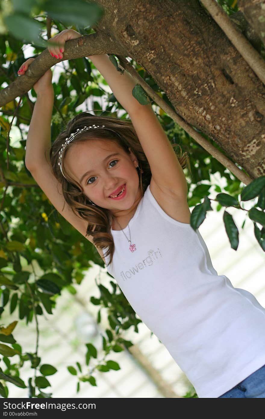 Brown hair girl under a tree. Brown hair girl under a tree