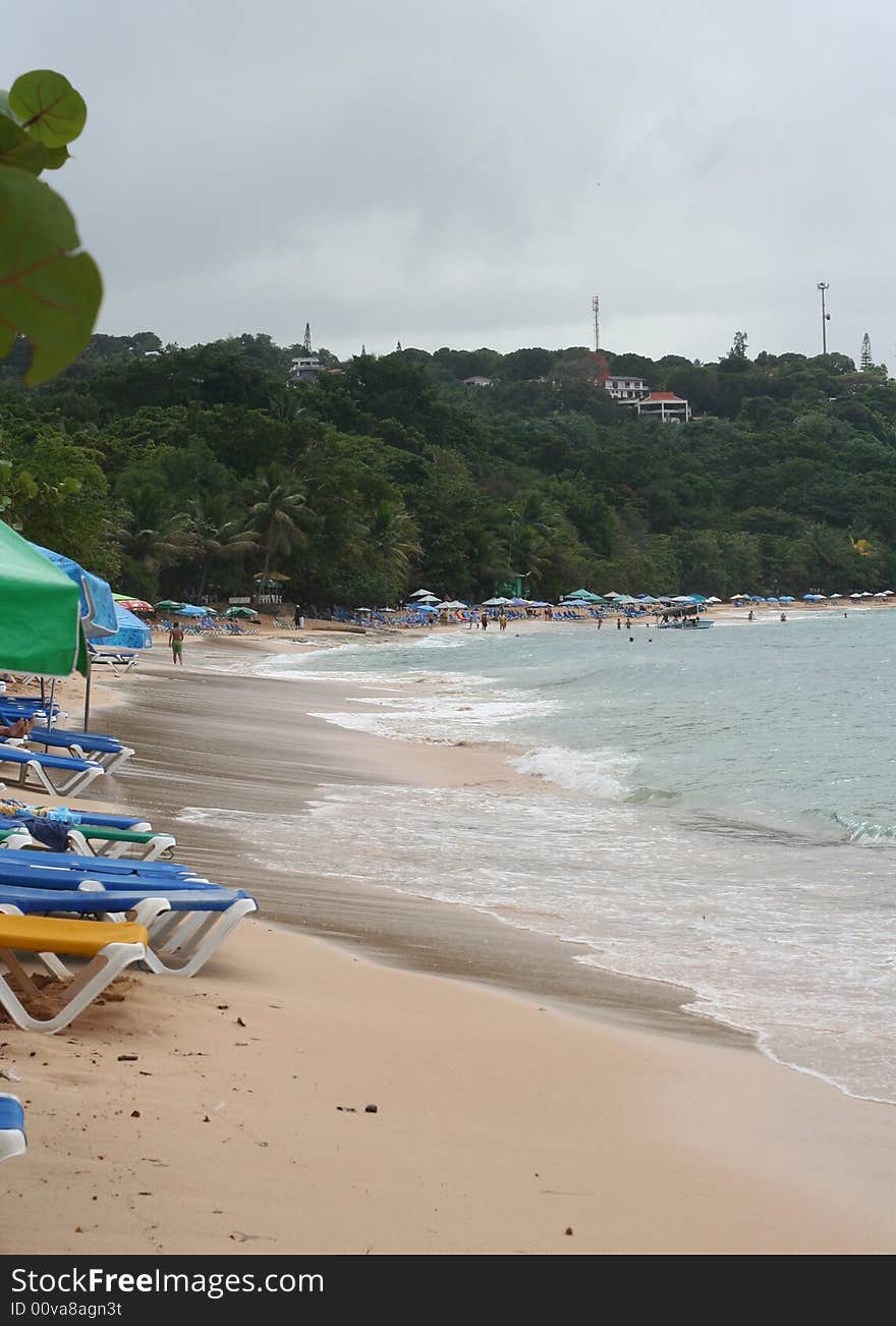 Cloudy Beach