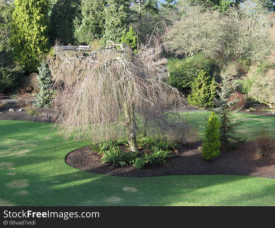 Garden in the spring