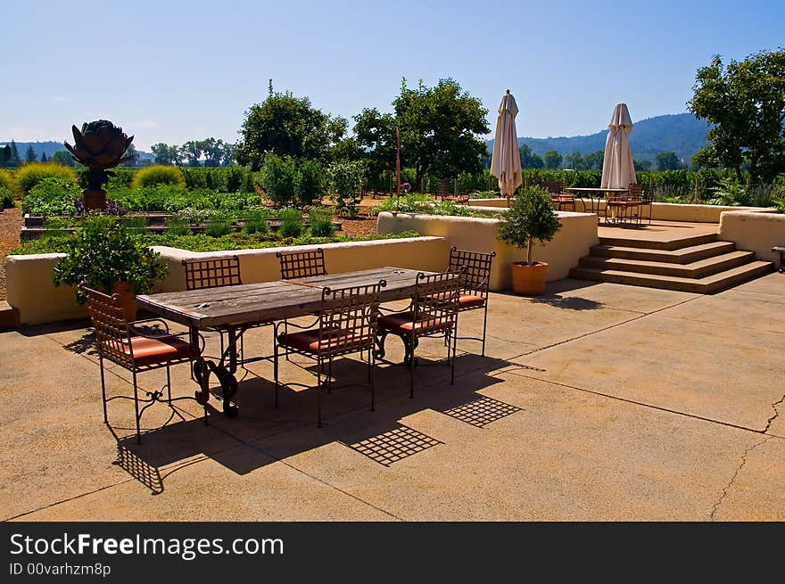 Vineyard in California