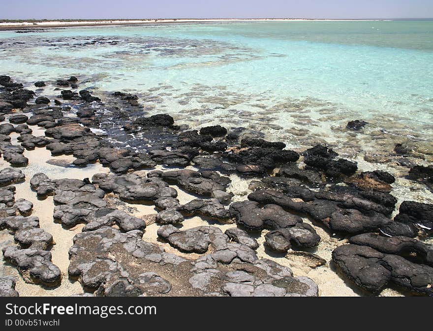 Wide angle shot of a beautiful beach with geological feature of black rocks. Australia