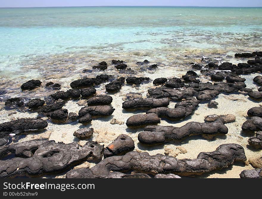 Wide angle shot of a beautiful beach with geological feature of black rocks. Australia. Wide angle shot of a beautiful beach with geological feature of black rocks. Australia