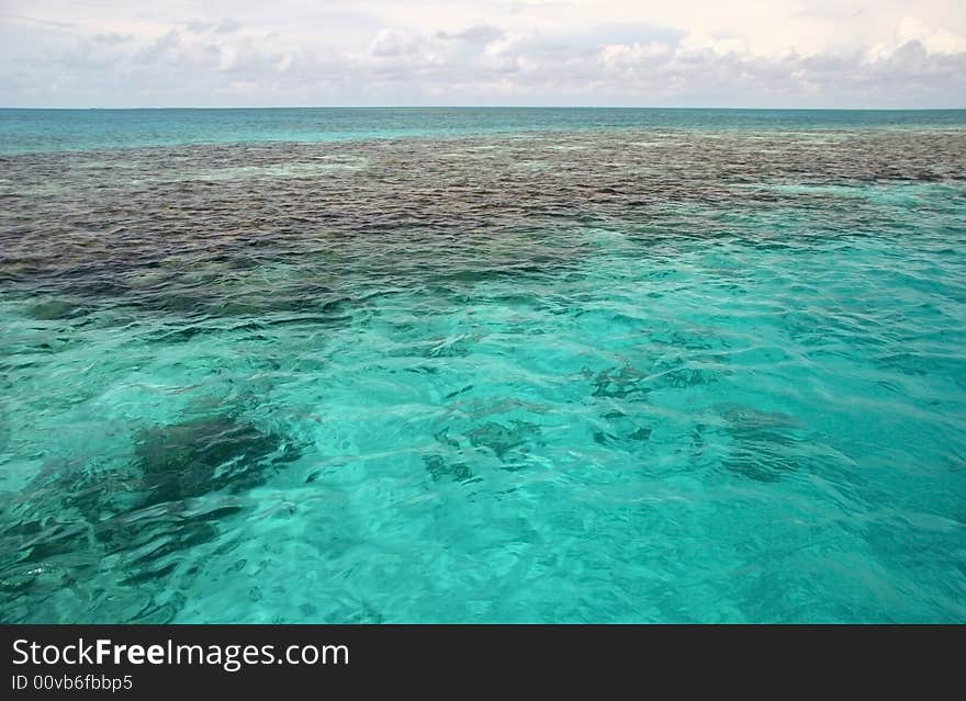 Black rocks in turquoise ocean water. Blue hole, Belize