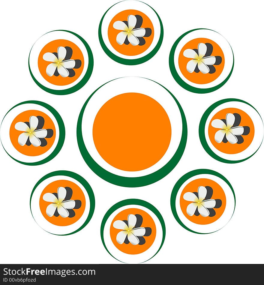 Vector illustration -white flowers in the circle. Vector illustration -white flowers in the circle