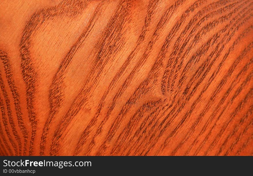 Cut of a trunk of the pear, processed by a varnish for a tree. Cut of a trunk of the pear, processed by a varnish for a tree