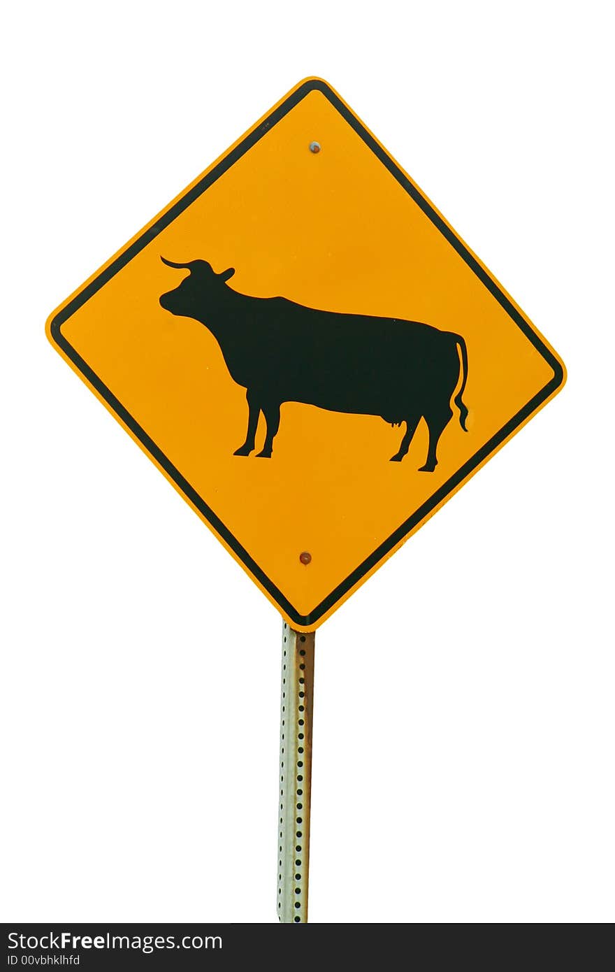 Isolated Cattle Crossing Sign