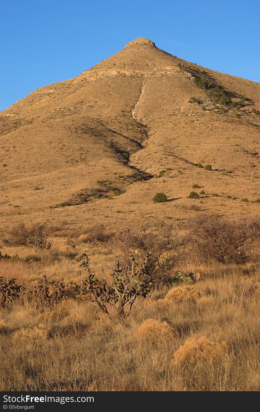 Chihuahuan Desert scene - Guadalupe Mountains National Park. Chihuahuan Desert scene - Guadalupe Mountains National Park