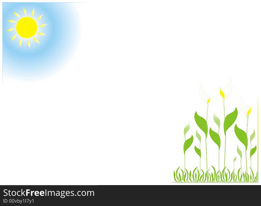 Sun and green flowers on white background. Sun and green flowers on white background