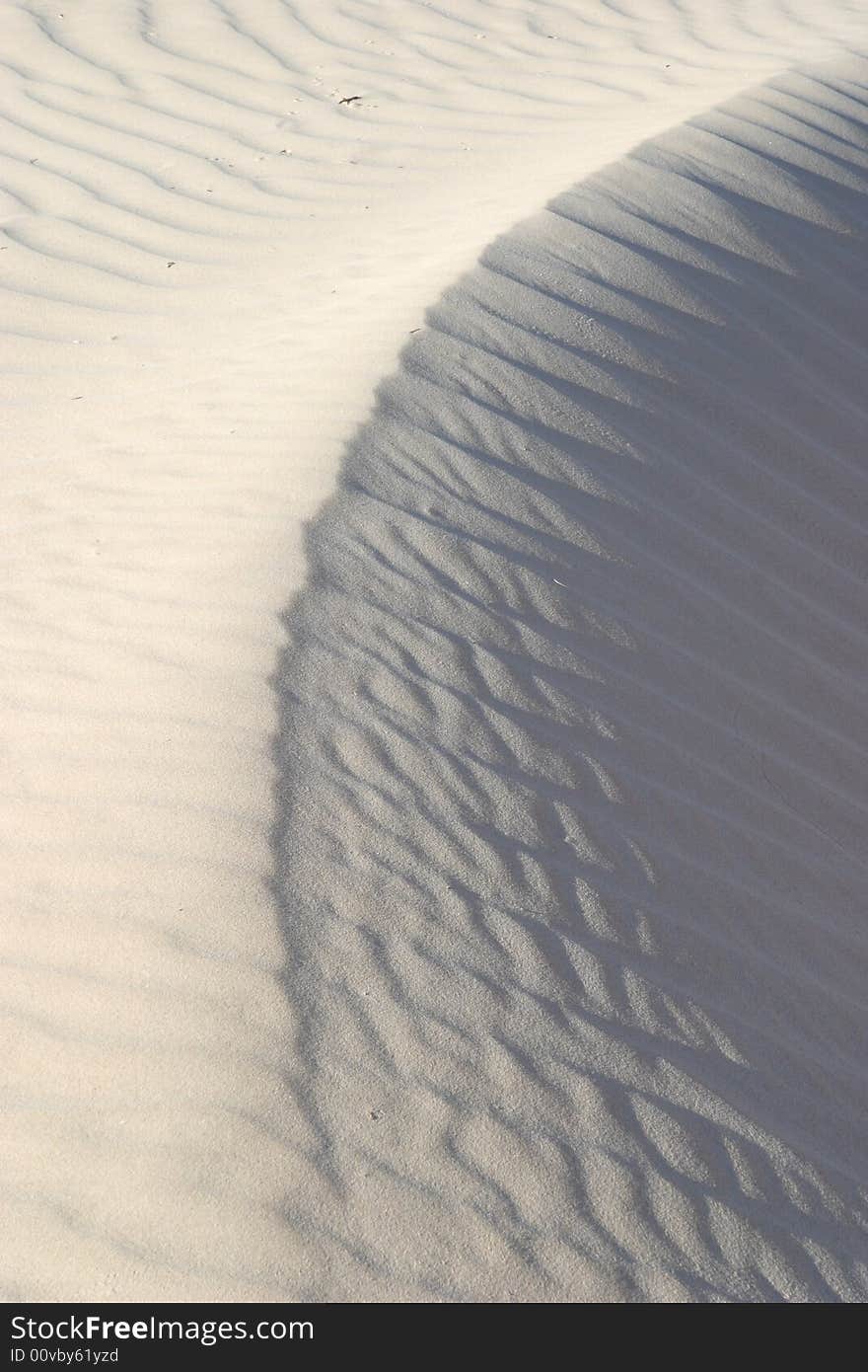 Sand ripples of the gypsum sand dunes - Guadalupe Mountains National Park