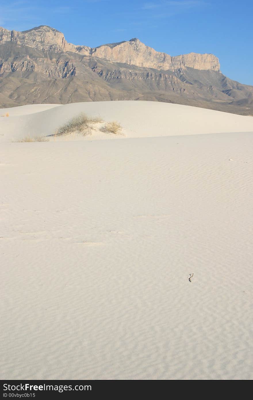 Gypsum Sand Dunes