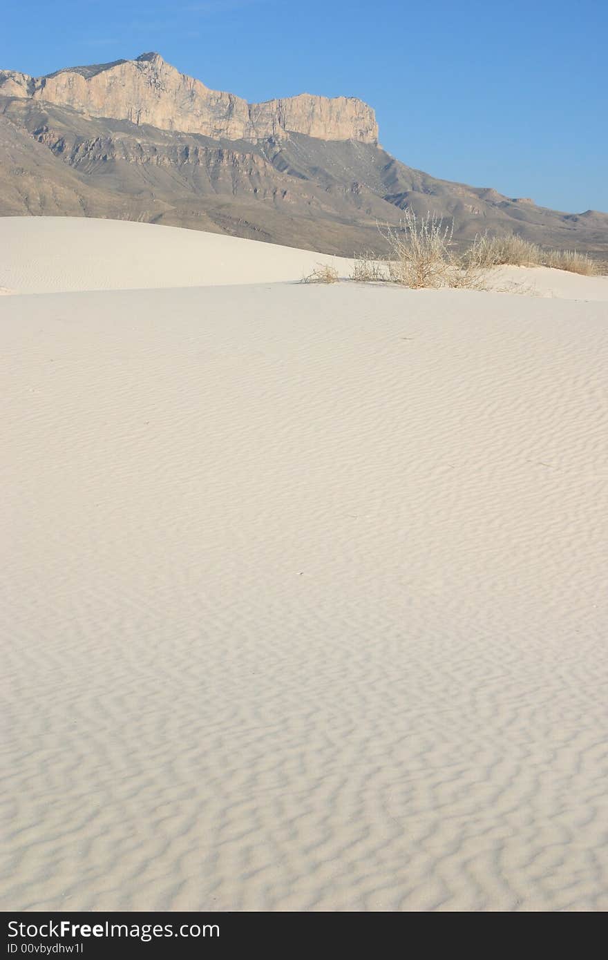 Gysum sand dunes with El Capitan in the Background - Guadalupe Mountains National Park. Gysum sand dunes with El Capitan in the Background - Guadalupe Mountains National Park