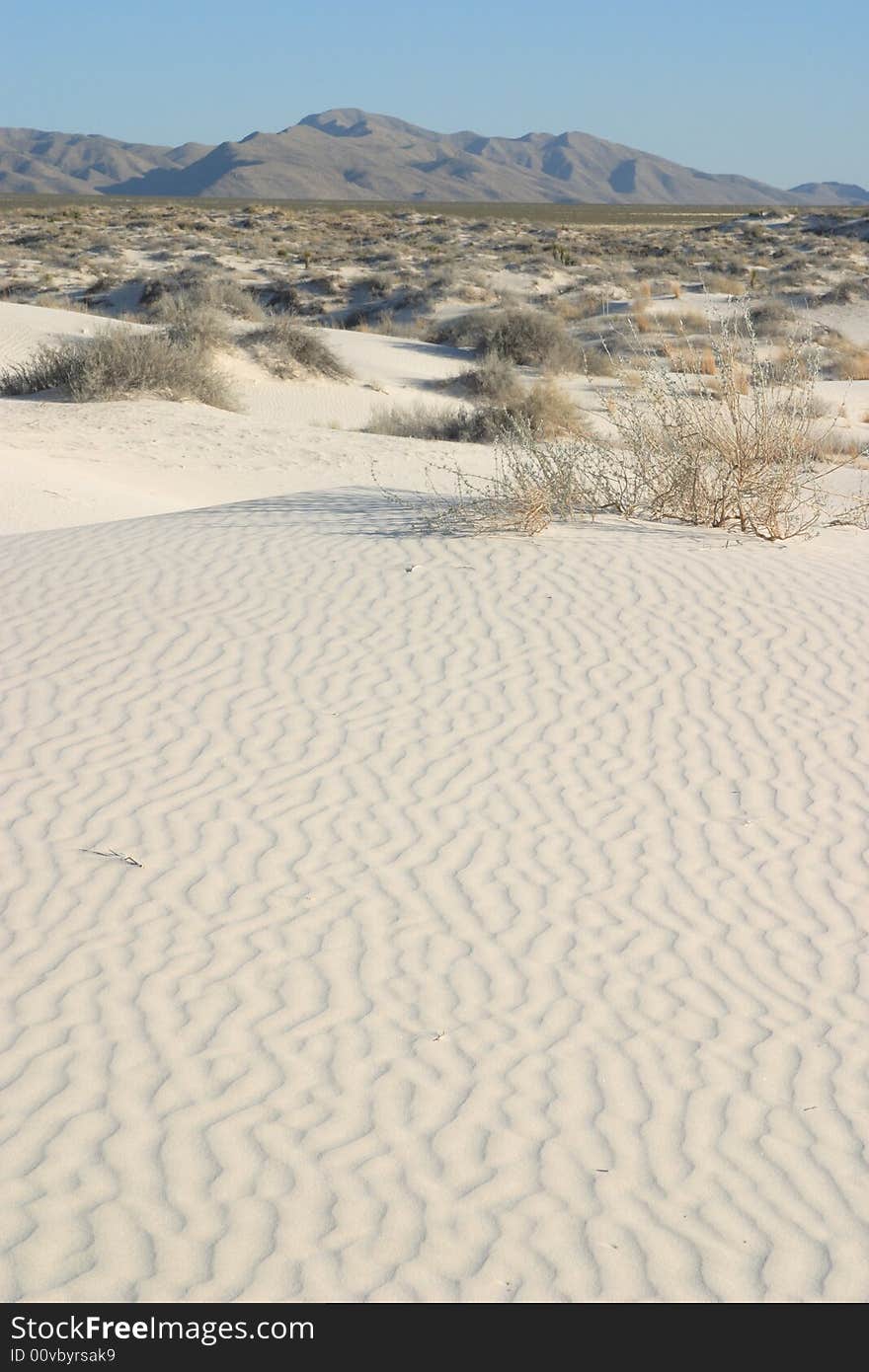 Gypsum Sand Dunes