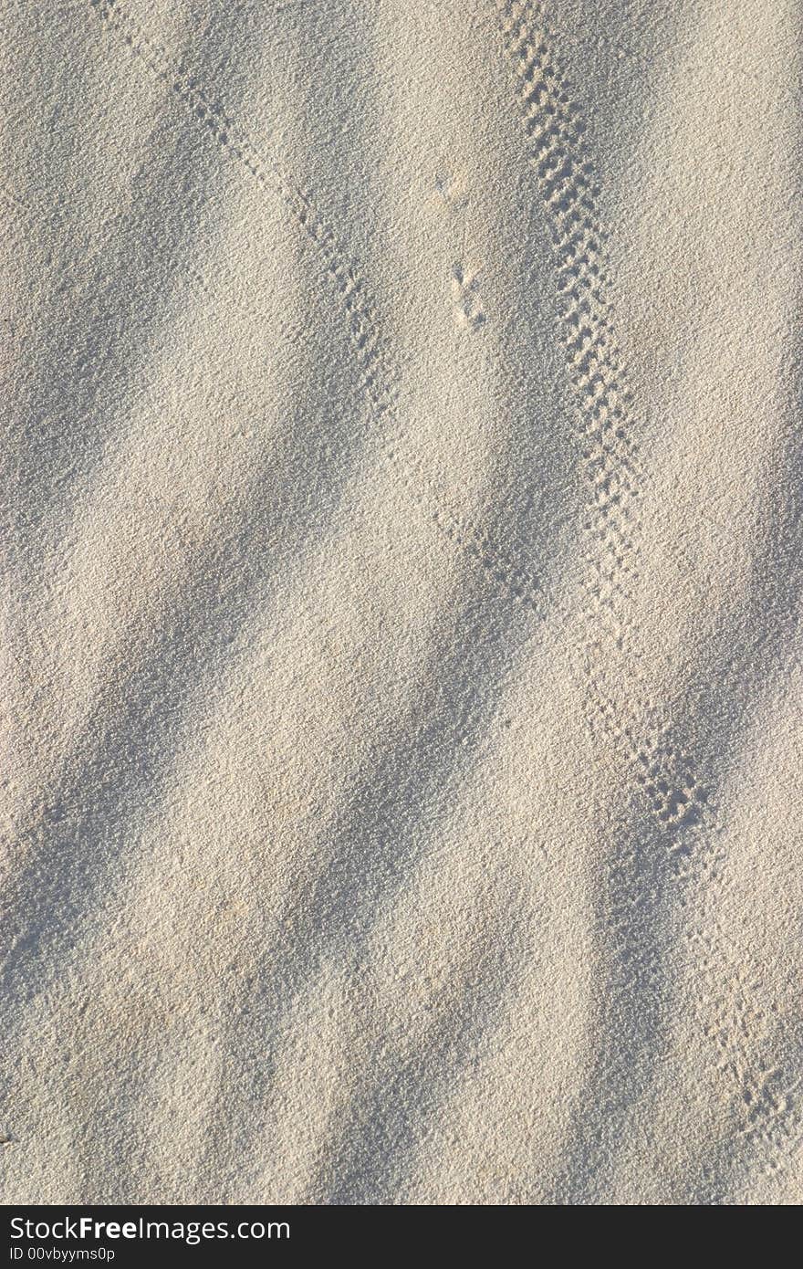 Sand Ripples & Tracks